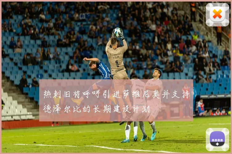 热刺旧将呼吁引进萨维尼奥并支持德泽尔比的长期建设计划