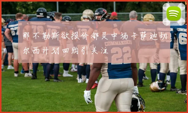 那不勒斯欲报价都灵中场卡萨迪切尔西计划回购引关注